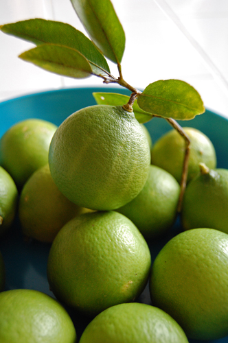 limes